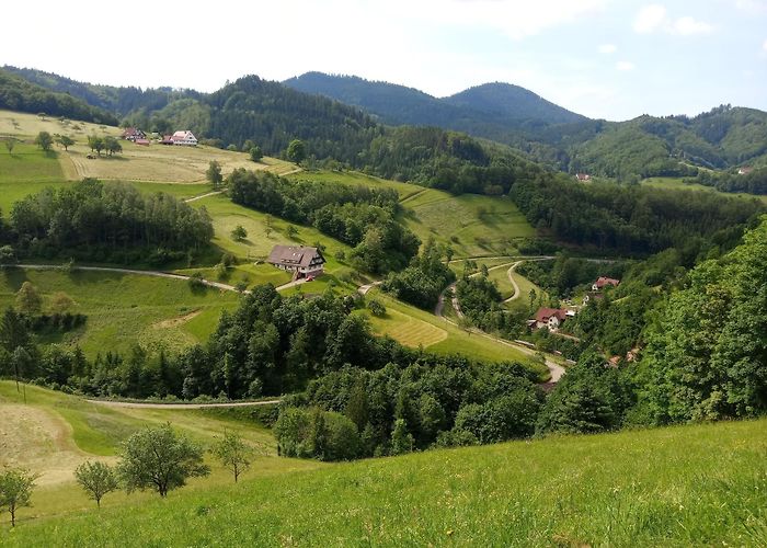 Park mit allen Sinnen Ortenaukreis Vacation Rentals, Baden-Württemberg: house rentals ... photo