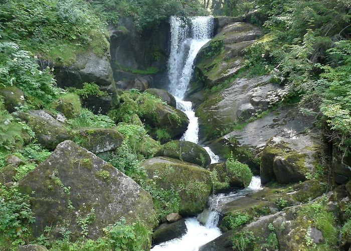 Triberg Waterfalls Triberg Waterfall Tours - Book Now | Expedia photo