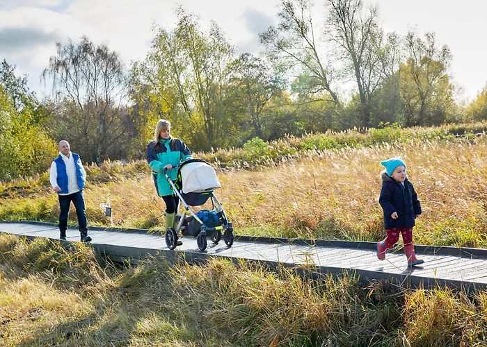 Wicken Fen National Nature Reserve Top walks in Cambridgeshire | National Trust photo