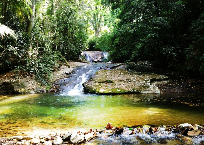Floresta da Tijuca Parque Nacional da Tijuca | Good in Rio photo