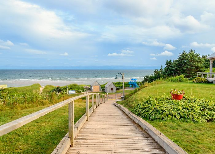 Basin Head Provincial Park 9 Reasons You'll Love The Singing Sands Of Basin Head Provincial ... photo