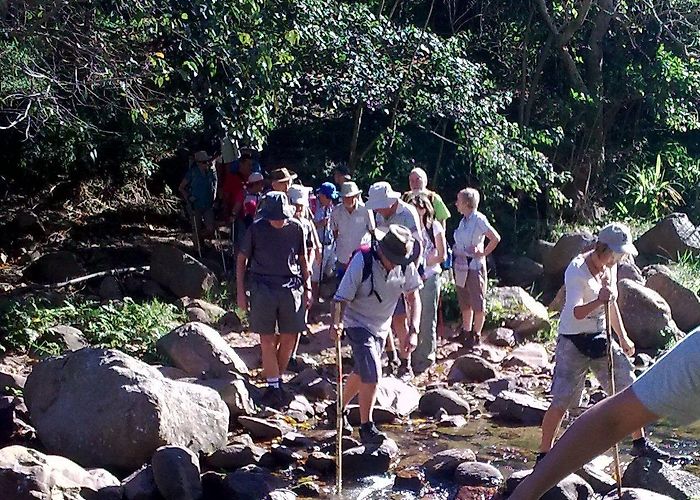 Palmiet Nature Reserve Palmiet Nature Reserve, Westville | Durban Hiking photo