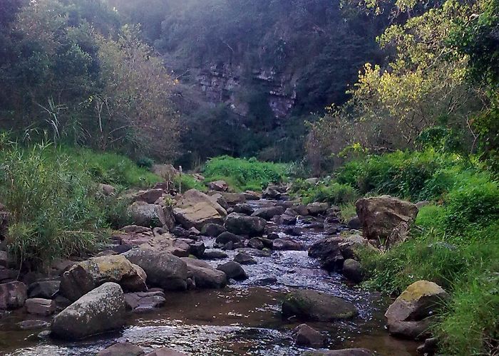 Palmiet Nature Reserve Palmiet Nature Reserve, Westville | Durban Hiking photo