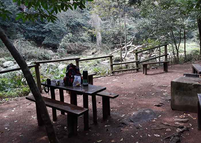 Palmiet Nature Reserve Birds & Birding – Page 9 – Bewilderbeast Droppings photo