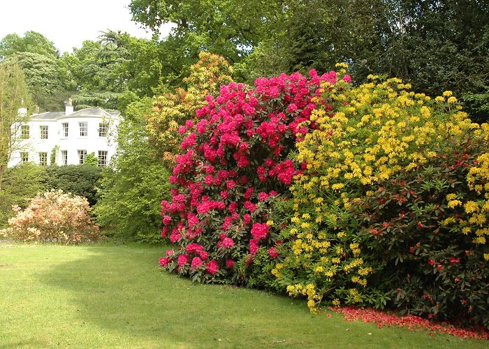 Quarry Bank Mill and Styal Estate About – Quarry Bank Revealed photo