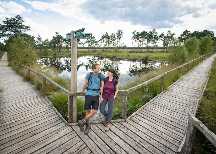 Pietzmoor Schneverdingen: Pietzmoor | Lüneburger Heide photo