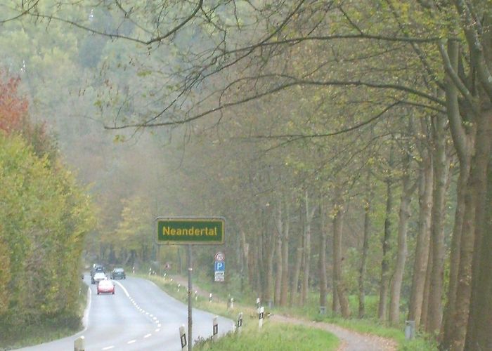 Neandertal Visit Erkrath: 2024 Travel Guide for Erkrath, Düsseldorf | Expedia photo