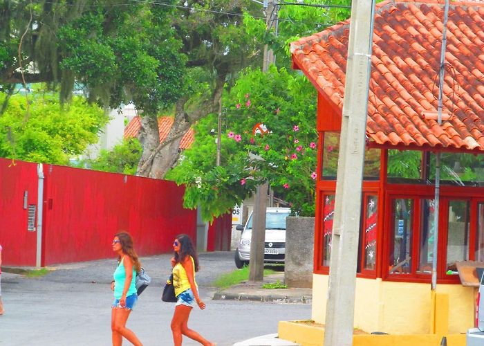 Ponta das Canas Beach Visit Ponta das Canas: 2024 Ponta das Canas, Florianópolis Travel ... photo