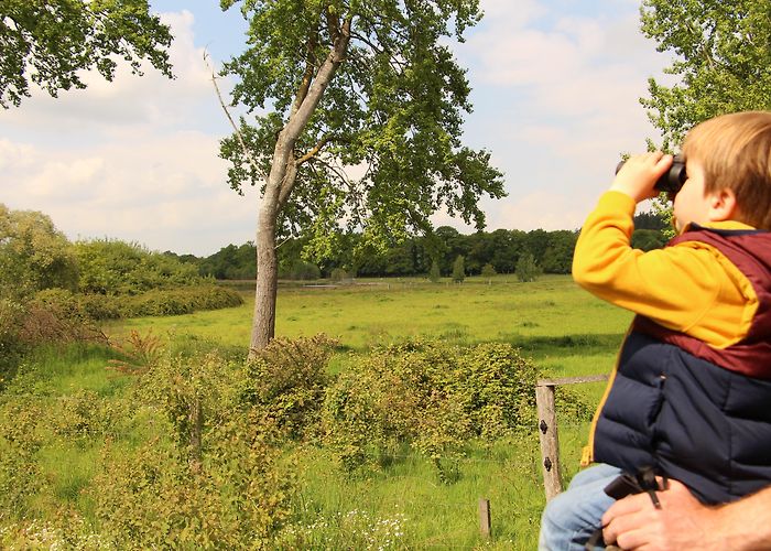 Domaine de Tremelin Le domaine de Careil (Iffendic) | Ille & Vilaine Tourism (35) en ... photo