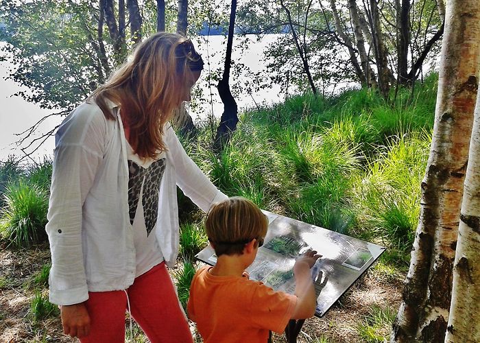 Domaine de Tremelin Livret découverte – L'arbre et l'oiseau (Iffendic) | Destination ... photo