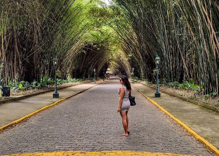 Central Park A Comprehensive Guide to Exploring Nova Friburgo, Brazil - Samira ... photo