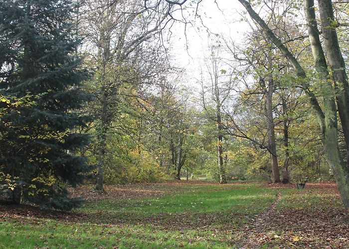 Lake Schladitzer Visit Rackwitz: 2024 Travel Guide for Rackwitz, Saxony | Expedia photo