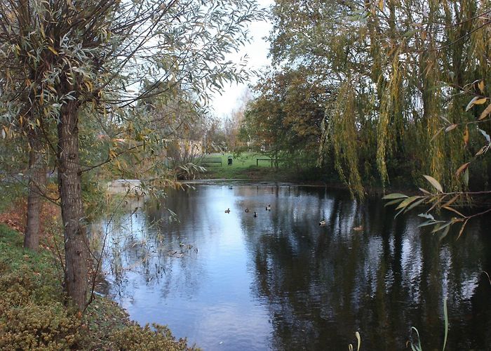 Lake Schladitzer Visit Rackwitz: 2024 Travel Guide for Rackwitz, Saxony | Expedia photo