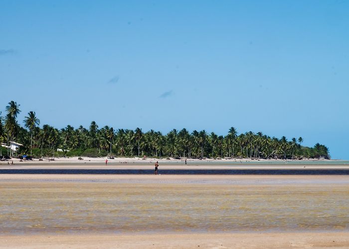 Toque Beach Sao Miguel dos Milagres Beach Tours - Book Now | Expedia photo