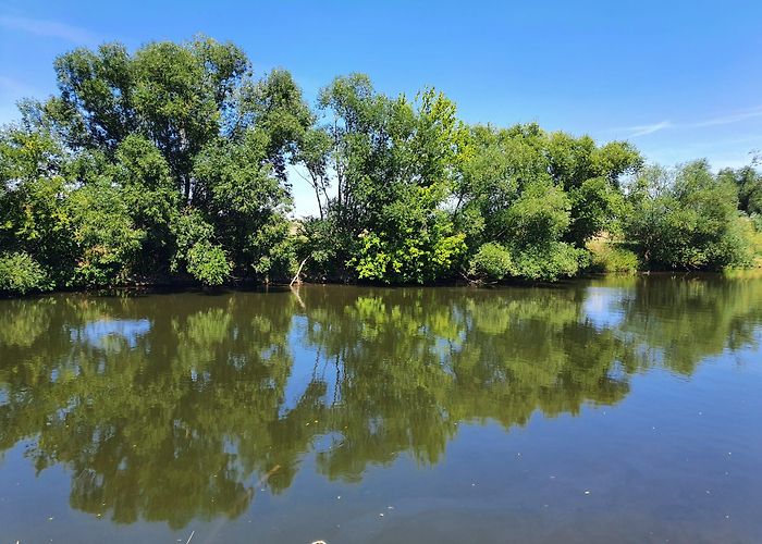 Neu-Augustusburg castle Pentecost Tour to Wandelkonzert Weißenfels | Bach by Bike photo