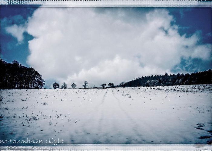 Beaufront Castle Sandhoe | northumbrian : light photo