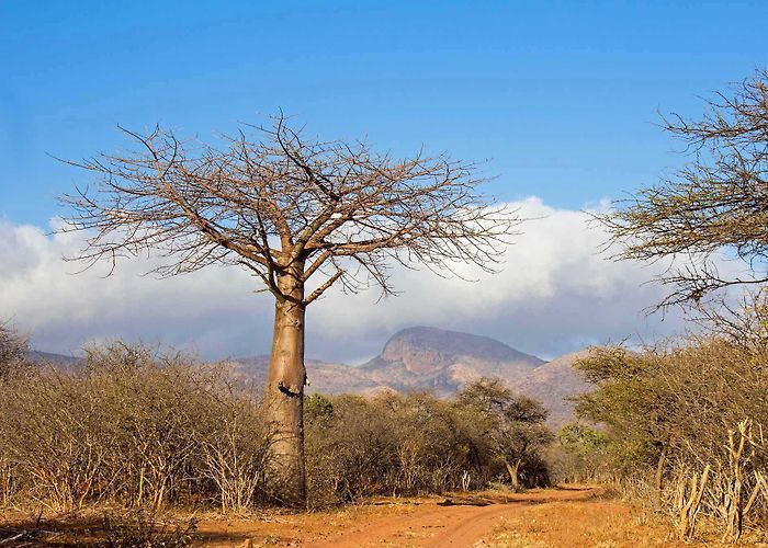 Blaauwberg Nature Reserve Blouberg Nature Reserve – Off The Hamster Wheel photo