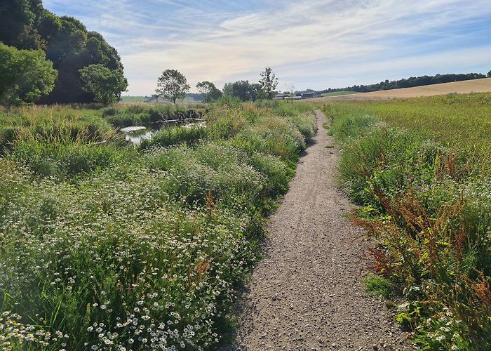 Fourqueux Golf Top 10 Most Beautiful MTB Trails around Saint-Germain-En-Laye | Komoot photo