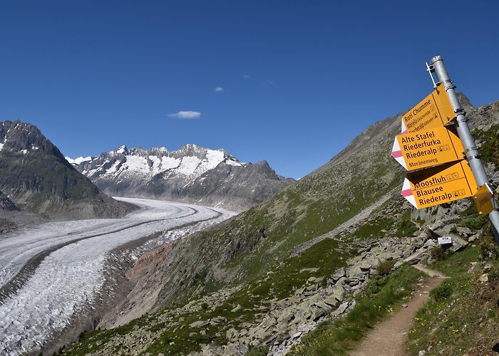 Betten Tal - Betten Dorf Visit Bettmeralp: 2024 Travel Guide for Bettmeralp, Valais | Expedia photo