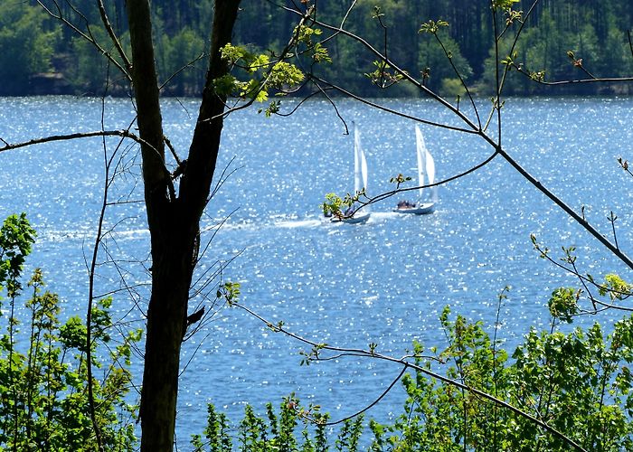 Balver Höhle Arnsberg Forest Nature Park Tours - Book Now | Expedia photo