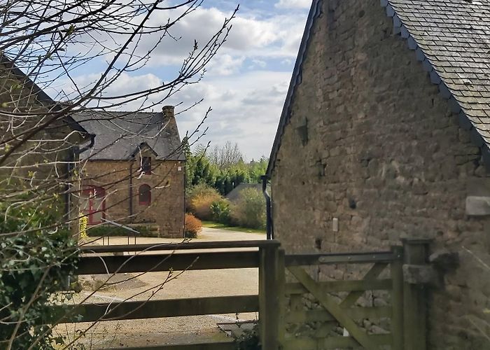 Abeille Vivante Cité Fourmis Les Deux rivières Le Faouet 56 - Musée de l'Abeille Vivante et de ... photo