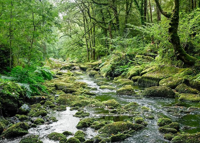 Abeille Vivante Cité Fourmis Le patrimoine naturel | Site officiel de l'office de tourisme du ... photo