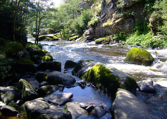 Abeille Vivante Cité Fourmis Roi Morvan Communauté : comparez les hôtels et réservez sur Hotels.com photo