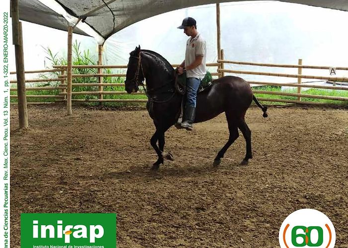 Meteorology Nacional Institut RMCP Vol. 13 Num. 1 (2022): January-March [english version] by ... photo