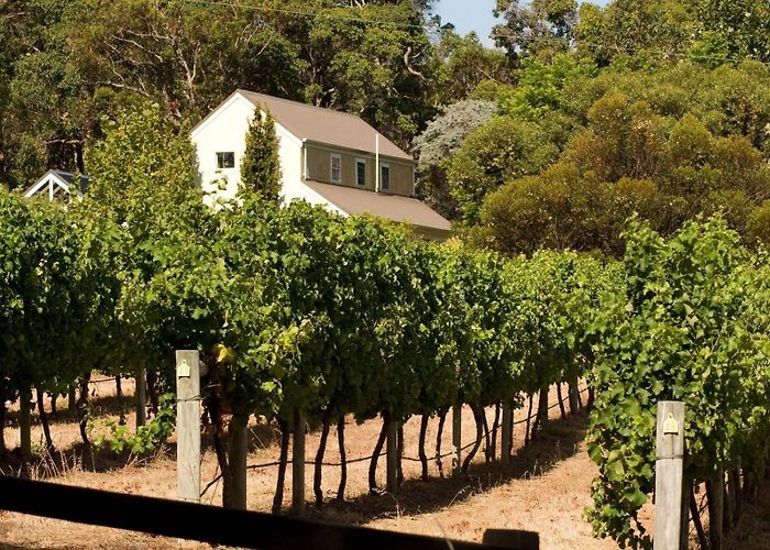 Margaret River Venison Farm Pre-Med in Western Australia photo