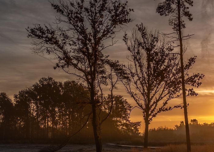 De Stok Golfbaan Things to Do in Roosendaal in 2024 | Expedia photo