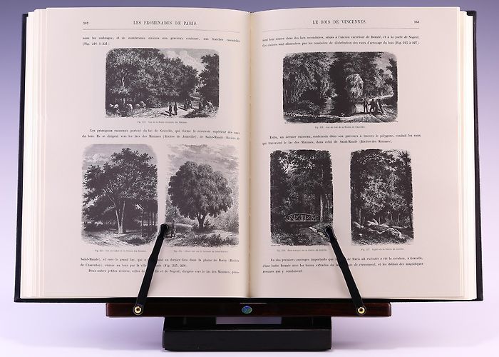 Lac des Minimes Les Promenades De Paris (French and English Edition) by A. Alphand ... photo