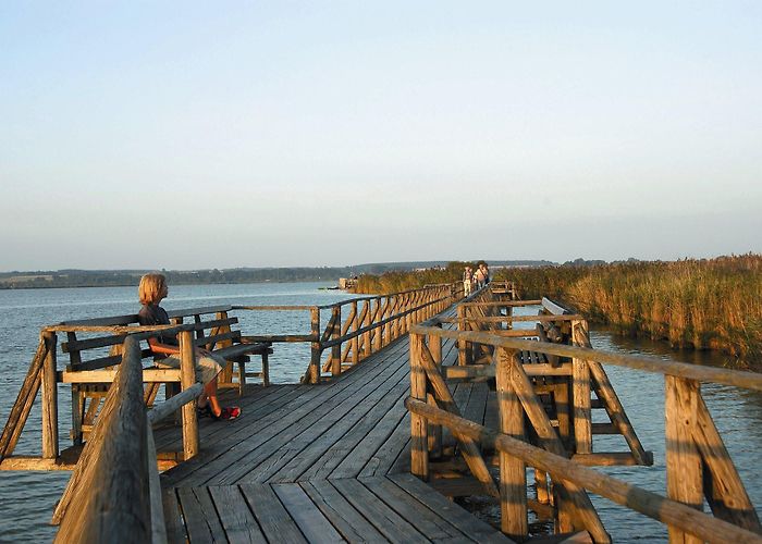 Keltischer Fürstensitz Heuneburg Stadt Bad Saulgau :: Tagesausflüge photo
