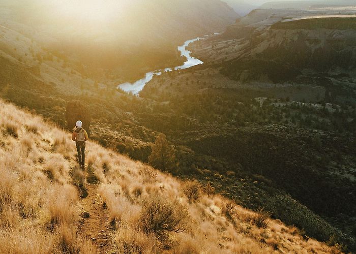 Lake Eland Zip Lines Travel Oregon Visitor Guide by Travel Oregon - Issuu photo