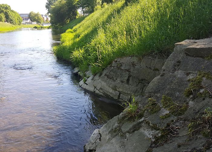 Vogtland Museum Visit Plauen: 2024 Travel Guide for Plauen, Saxony | Expedia photo