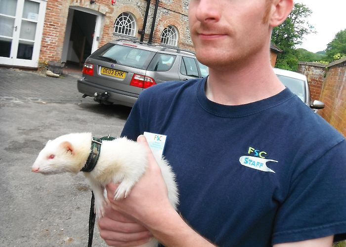 Juniper Hall Field Centre Butterfly Weekend | Juniper Hall Field Centre photo