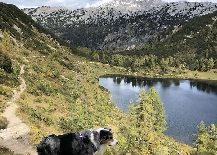 Seillift Abfahrt Tauplitz Visit Tauplitz: 2024 Travel Guide for Tauplitz, Bad Mitterndorf ... photo