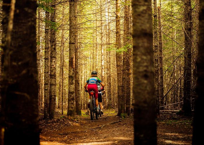 Woolastook Provincial Park Woolastook to Get Exciting Investment photo