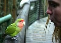 Birds of Eden Birds of Eden Plettenberg Bay photo