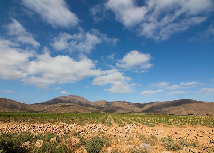 Dassieshoek Nature Reserve Visit Robertson: 2024 Travel Guide for Robertson, Western Cape ... photo