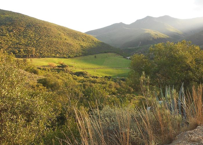 Dassieshoek Nature Reserve Things to Do in Robertson in 2024 | Expedia photo