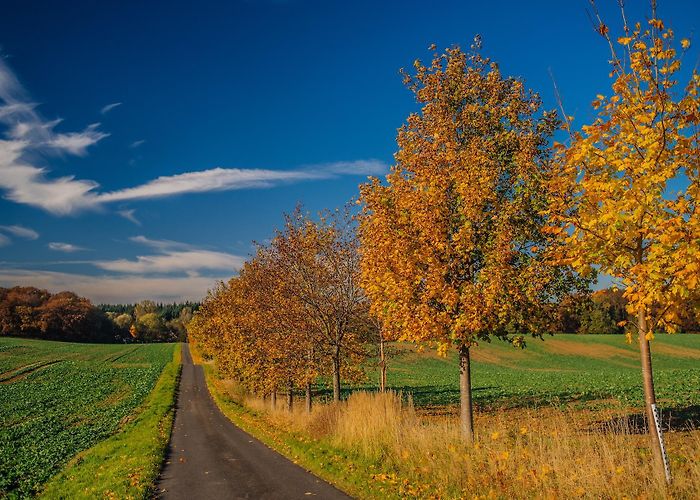 Benedixhaus Thematic Path "Holy Sites" (Western Segment) • Bike Riding ... photo