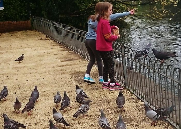 Brynmill Park SWANSEA-PARKS, BEACHES AND A TRIP DOWN MEMORY LANE - Where Jo Goes photo