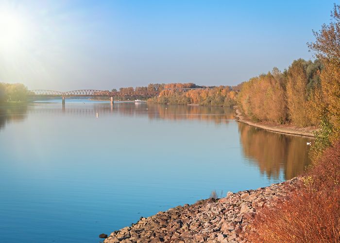 Pamina-Rheinpark Riedmuseum PAMINA Rhine Park - Northern Black Forest - Arrivalguides.com photo