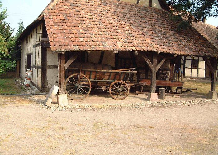 Pamina-Rheinpark Riedmuseum Naturmuseen PAMINA-Rheinpark | Landkreis Rastatt Tourismus photo