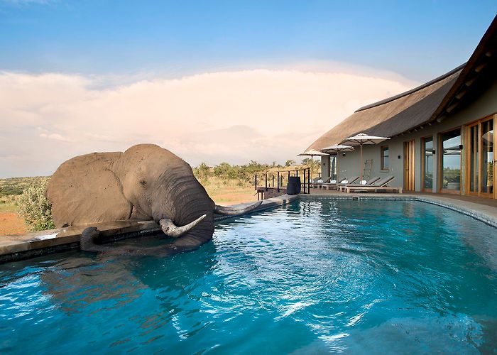 Bonamanzi Private Game Reserve Phinda Private Game Reserve | South Africa | Wild Safari Guide photo