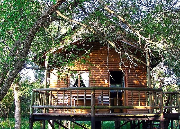 Bonamanzi Private Game Reserve Bonamanzi Game Reserve, Hluhluwe, KwaZulu-Natal | Pitchup.com photo