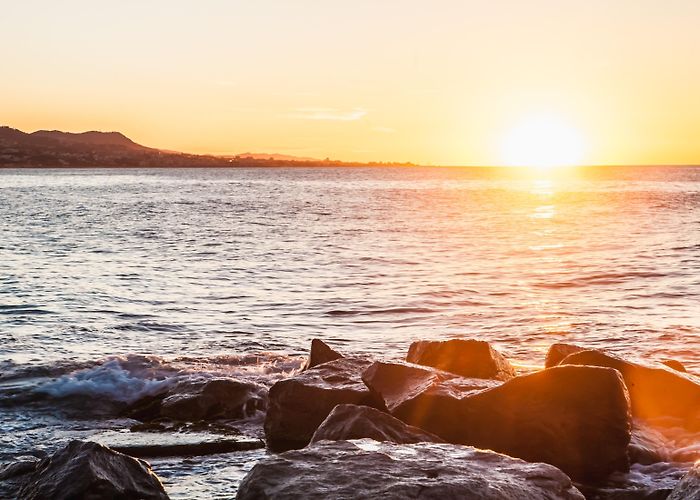 Palau Municipal d'Esports de Badalona Things to Do in Badalona in 2024 | Expedia photo