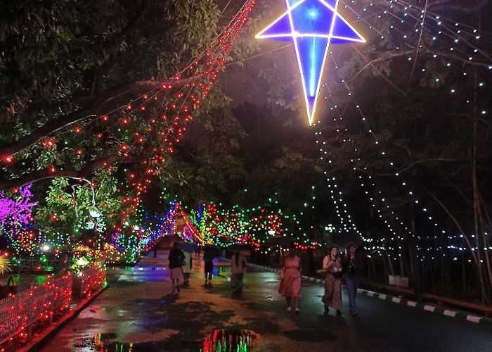 Christ University Christ University during Christmas : r/bangalore photo