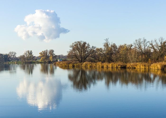 Merwelanden Golf Biesbosch National Park Tours - Book Now | Expedia photo