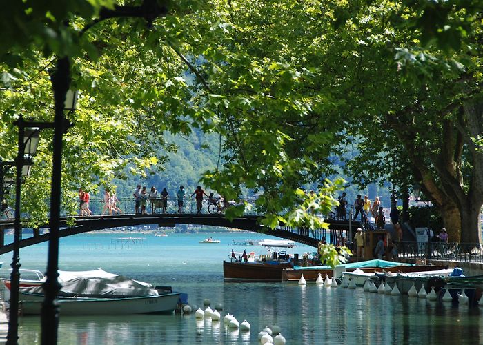 IUT Annecy University Université Savoie Mont Blanc – ISEP Study Abroad photo